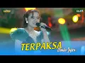 Download Lagu TERPAKSA || NANDA SAFIRA || NEW CALLISTA LIVE FP ADK KEDUNGKLANTING || CAKRAWALA AUDIO