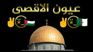 اغنية طناخه وكالة عيون الاقصى الوكيلة ياسمين الفنان الخال الكسندر مطانيخ هيا شات دمار شامل 