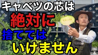 【もったいない】家庭ででるキャベツ芯のとんでもない活用法　【園芸超人カーメン君】