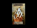 Cathedral by Raymond Carver Full read by Justin Mills