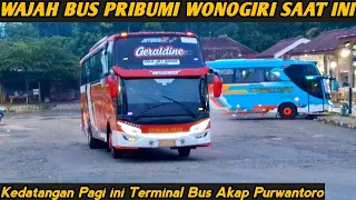 Download WAJAH BUS WONOGIRI DI TAHUN 2024 ! hunting bus pagi terminal purwantoro || po tunggal dara MP3