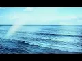 I Took A Ride - Zeds Dead