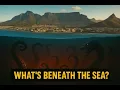 Marine Spirits How They Control Coastal Cities Like Miami Cape Town Amsterdam