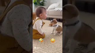 سؤااال وجواب 