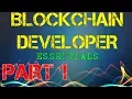 Blockchain Developer Essentials PART 1 Installation and Webserver Vlad Wulf