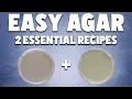 How to Make Agar Plates for Mushroom Mycelium 2 ESSENTIAL Agar Recipes for Mycology