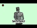 Shatta Wale - Wha' da ...#&@*** Lyrics Video