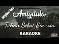 Amigdala - Tuhan Sebut Sia - sia (Karaoke, Lyric Video, Instrument Cover)