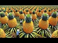 Download Lagu How Thai Farmers Harvest Millions of Pineapples - Thailand Street Food | Farming Documentary