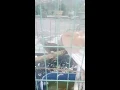 Download Lagu suara burung yang puter paling enak di dengar......