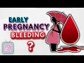 Implantation bleeding early pregnancy bleeding spotting 10 Important facts