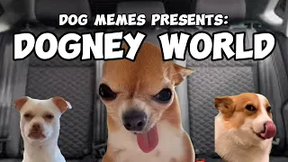 DOG MEMES TO DOGNEY WORLD PT 1