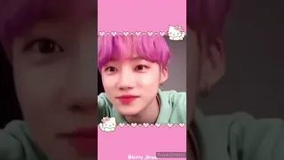 the boyz chanhee new cute