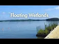 Conservation Series Floating Wetlands