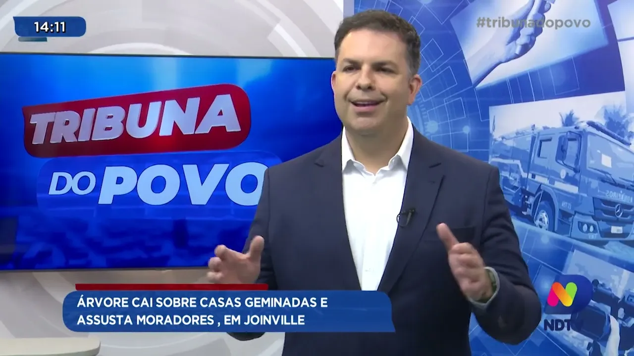 Árvore cai sobre casas geminadas e assusta moradores, em Joinville