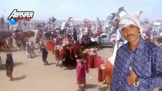 الجديد والحصري ابراهيم ادريس يا غالي جدي وارى البيت مبروك وارد 