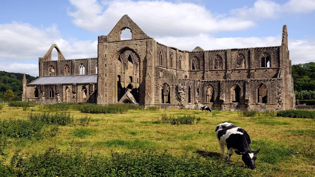 The Dissolution of the Monasteries