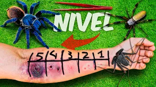‼️Me pican 5 ARAÑAS Peligrosas‼️ Nivel 1 - 5