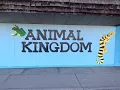 Animal Kingdom Pet Shop and Groomers Pueblo Business Spotlight Pueblo Thieves and Douchbags