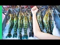 RECORD BREAKING THAI PRAWNS The ULTIMATE Thai Seafood Experience in Bangkok Thailand