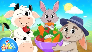 Las Verduras del Señor Conejo 🐰🥕 | Canción de verduras con La Vaca Lola | Toy Cantando