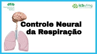 Controle Neural da Respiração