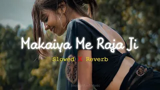 makaiya me raja ji slowed reverb