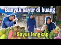 Download Lagu SENGANG NYA DAPAT SAYUR KESUKAAN⁉️ BANYAK SAYUR YANG JATUH
