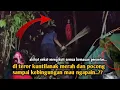 Lagu CAMPING HORROR NEKAT MENGIKUTI SEMUA REQUEST PENONTON SAMPAI GARAM RUQYAH DI SEMBUR KEMUKA HANTU 