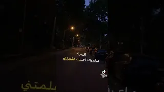 احلى شعر عن الحب 