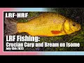 Download Lagu LRF Fishing: Crucian Carp and Bream on Isome