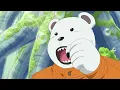 youngstown - law (one piece amv)