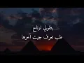 سمر طارق و الوايلي- لو (كلمات)