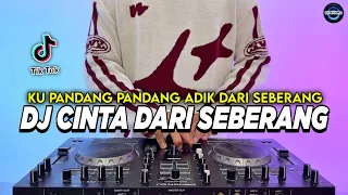dj cinta dari seberang ku pandang pandang adik dari seberang remix viral tiktok terbaru 2025