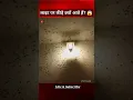 Download Lagu लाइट पर कीड़े क्यों आते हैं?😱 #shorts #viral #youtubeshorts #trending #fact #short #facts
