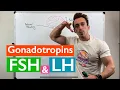 Gonadotropins Follicle Stimulating Hormone FSH and Luteinizing Hormone LH