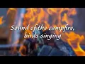 Download Lagu Relaksējoša ugunskura skaņa un nomierinoša putnu dziedāšana - 1 stunda skaņu skanēšanai mi