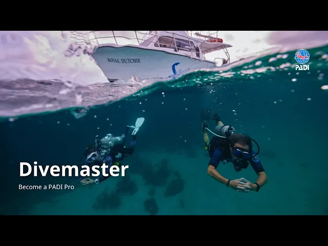 DIVE MASTER