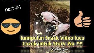 Download Kumpulan Snack Video lucu cocok buat Story Wa MP3