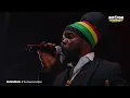 BUSHMAN & The Grassroots Band live @ Rototom Sunsplash 2026
