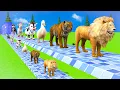 Download Lagu Paint \u0026 Animals Cow,Zebra,Dog,Tiger,Lion,Elephant Fountain Crossing Transformation Animal Cartoon