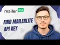 How To Find Mailerlite Api Key 2026 Guide