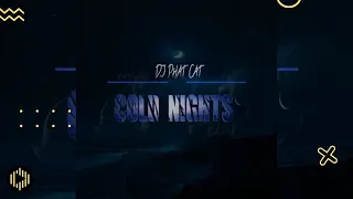 dj phat cat cold nights