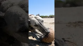 Have you seen our Madagascar series yet? What an incredible place! Join us!