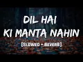 Download Lagu Dil Hai Ki Manta Nahin [Reverb] | Mood 90's