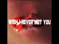 Wish I Never Met You