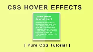 Css Div Hover Effect Tutorial - html5 Css3 Hover Effect