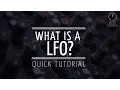 What is a LFO Quick Tutorial