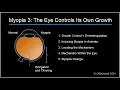 Myopia 3 How the eye controls its own growth Emmetropization