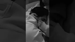 سمعني نبضك دفيني بنار حضنك سلمى رشيد لايك اشتراك اكسبلور انستا تيك توك Yahyaraaby 